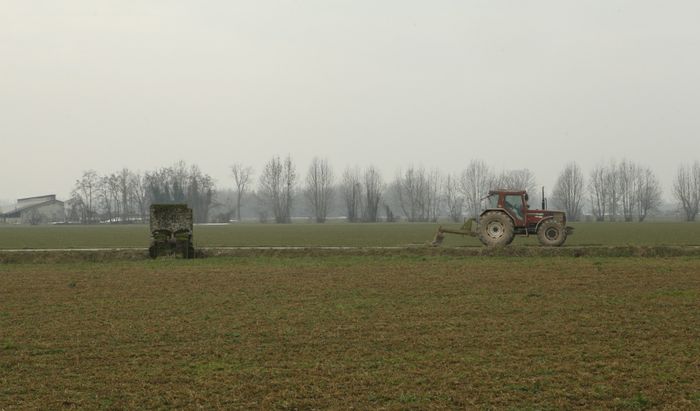 Uno dei campi del cremonese
