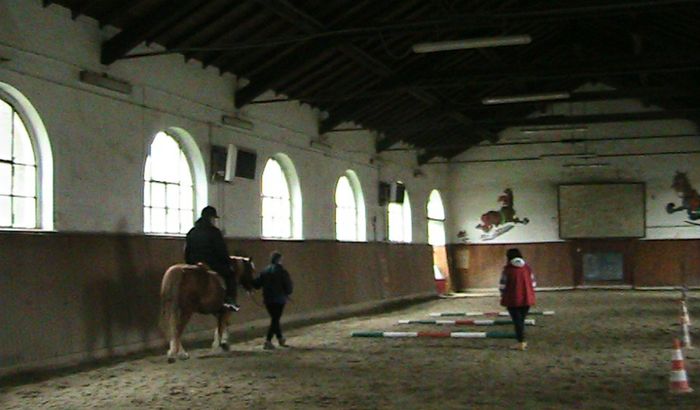 Attività di ippoterapia al Centro Riabilitazione Equestre di Crema