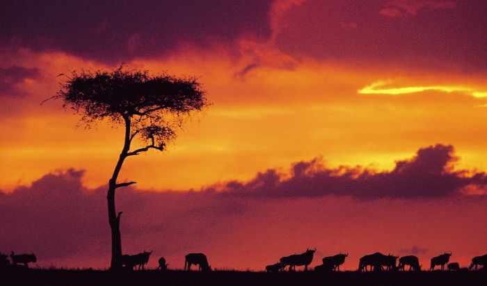 KENYA