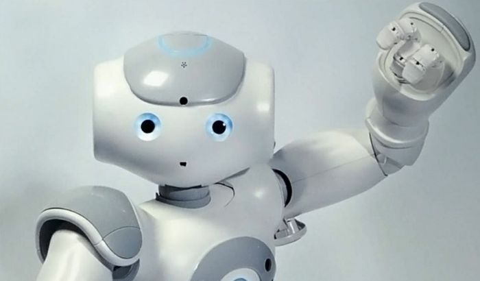 Il robot umanoide Nao
