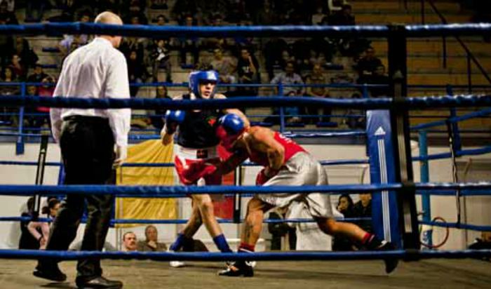 Colluccello sul ring