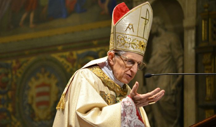 Il Vescovo di Cremona Dante Lafranconi