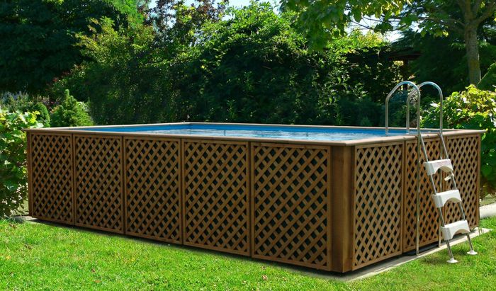 Modello di piscina Laghetto