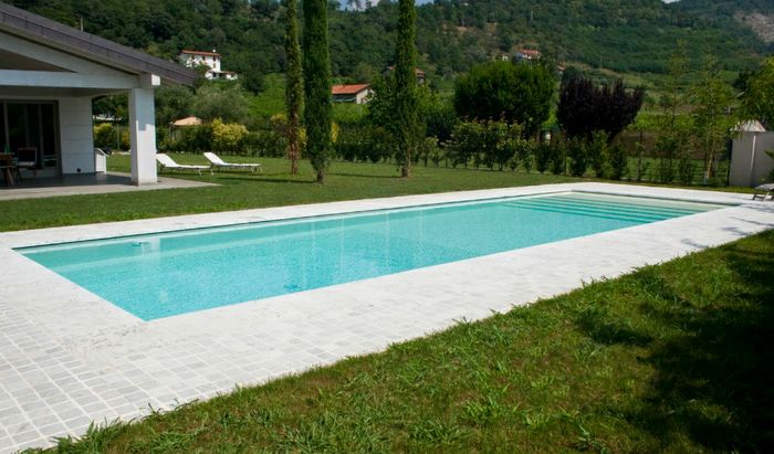 Modello di piscina Laghetto