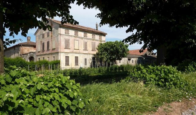 Immagine 181

AZIENDA AGRICOLA BETTELLA