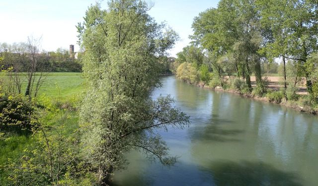 Il fiume Oglio nei pressi di Quinzano
