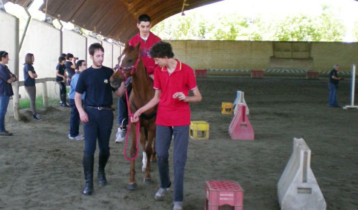 Equitazione al Centro Equestre “La Gazza”