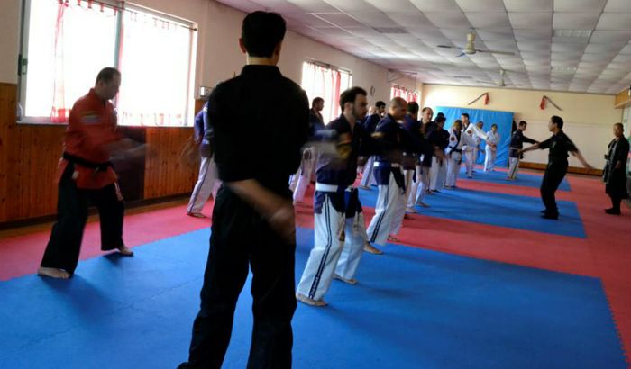 Lo stage Mondo Ryu Heiho