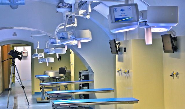 Palazzo trecchi surgery lab