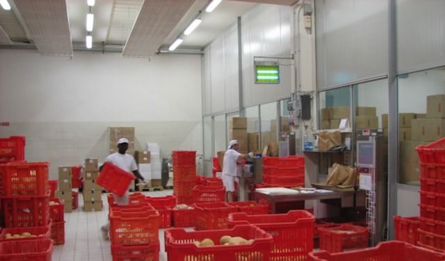 ELLEGI PANIFICIO INDUSTRIALE GADESCO PIEVE DELMONA PRODUZIONE