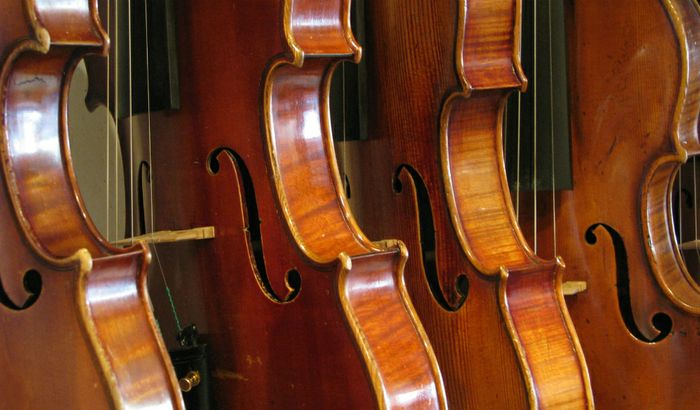Una serie di violini