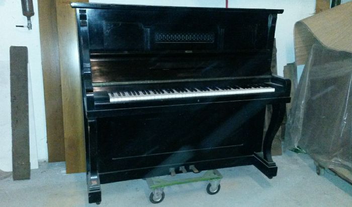 Pianoforte Anelli