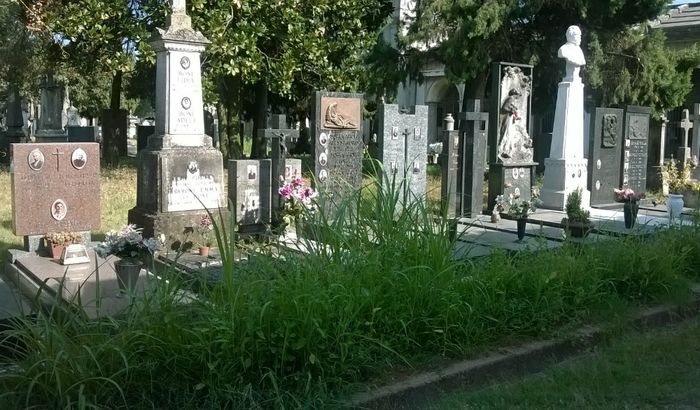 Degrado nel cimitero di Cremona