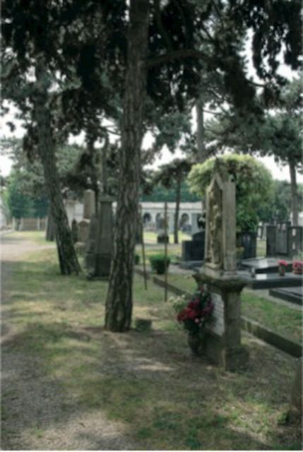 Lapide Cesira

