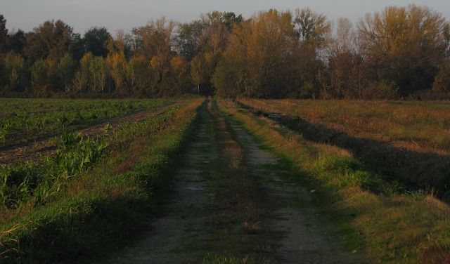 La strada del Porto a Monasterolo

