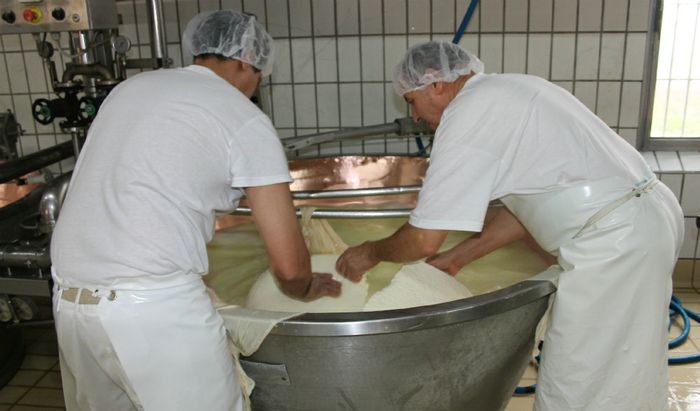 Carlo Vezzini in visita alla Pozzali Lodigrana - Latte - formaggio
