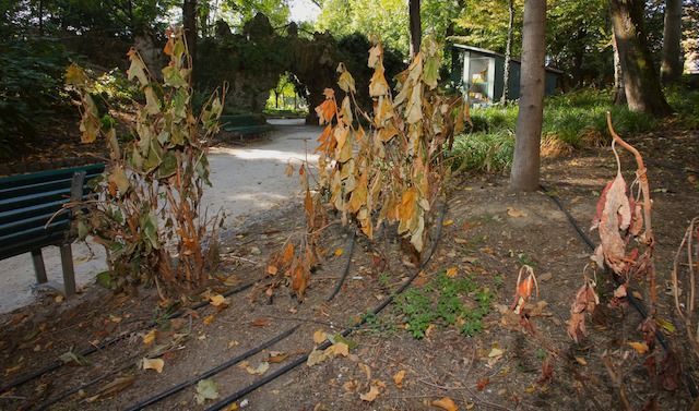 GIARDINI PUBBLICI DI PIAZZA ROMA
