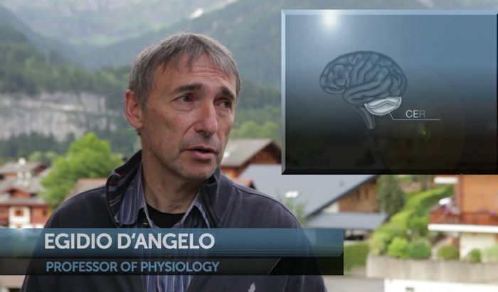 Egidio d'Angelo