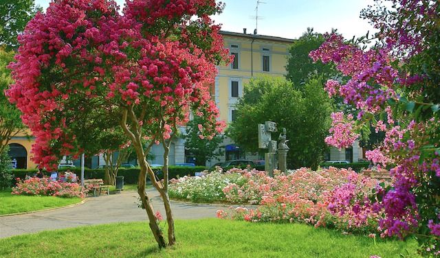 Porta Romana in fiore
