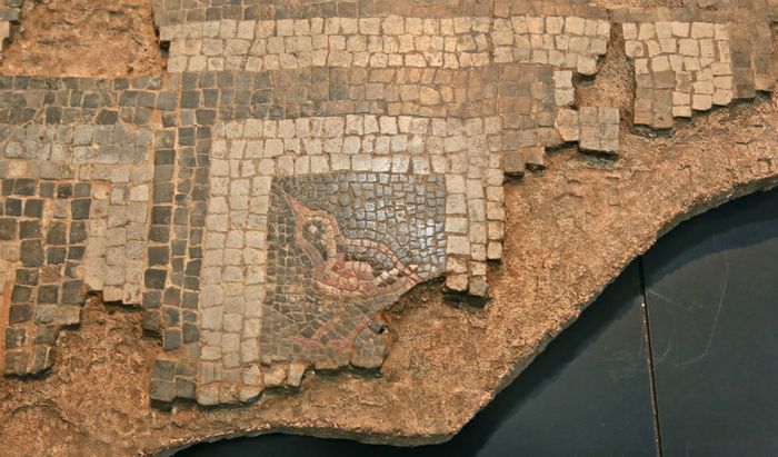 Il frammento del mosaico della domus di Piazza Marconi