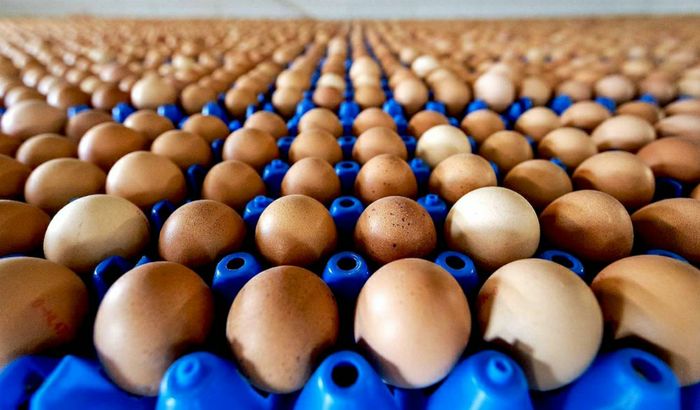 Migliaia di uova pronte per la consegna