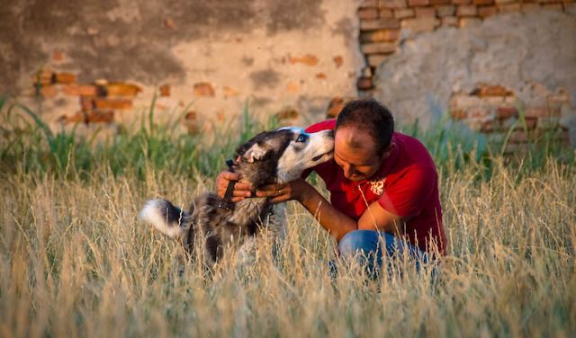 Il migliore amico

