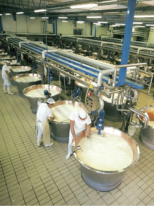 Lavorazione del formaggio - Plac