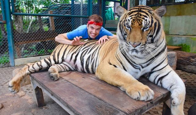 Roman Benda con una tigre