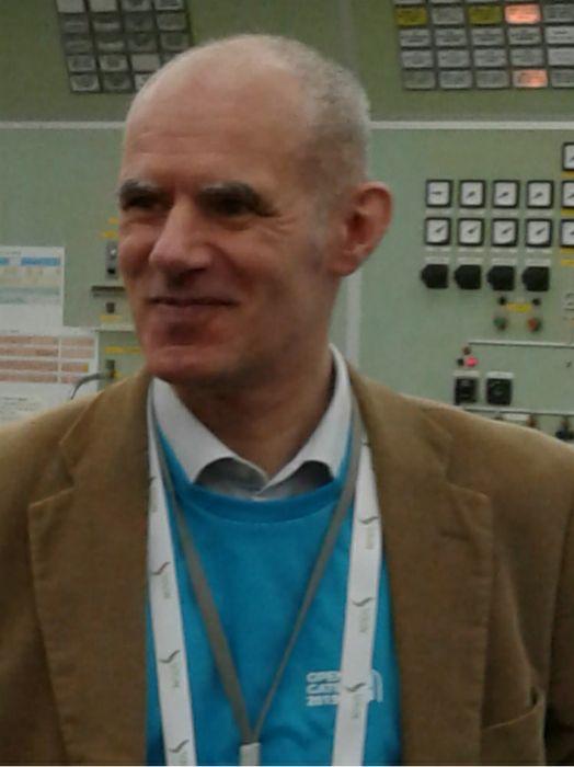 Marco Ricotti, Presidente Sogin