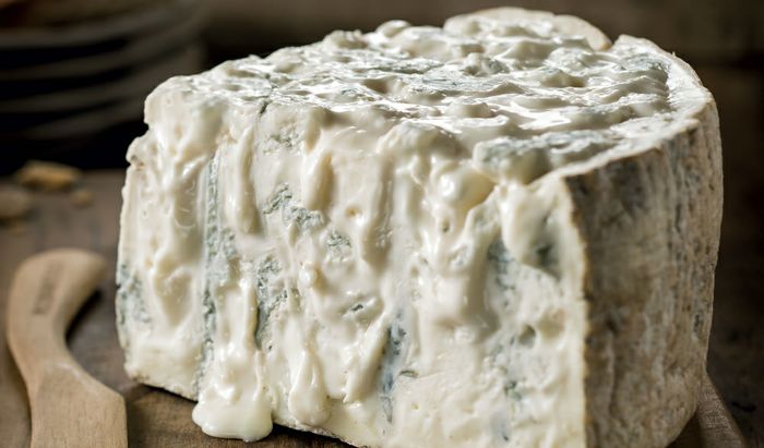 Gorgonzola