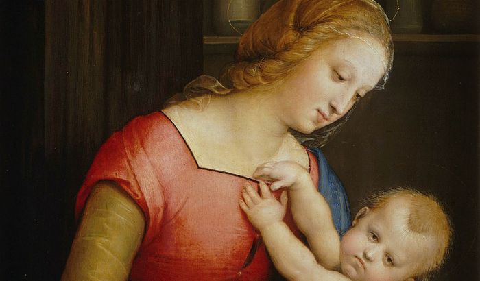 Dettaglio: Madonna col Bambino di Raffaello