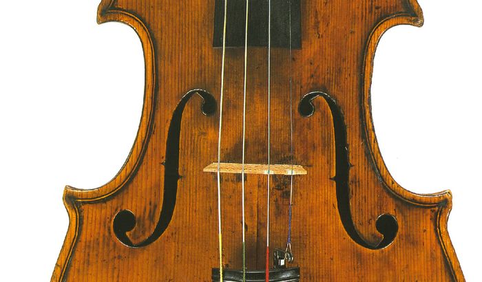 Un dettaglio del violino