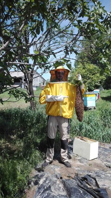 Francesco Mori, apicoltore

