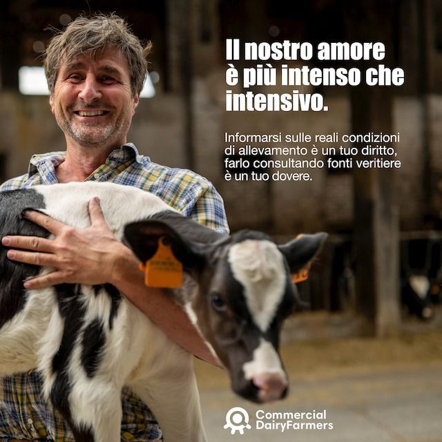 CAMPAGNA  COMMERCIAL DAIRY FARMERS