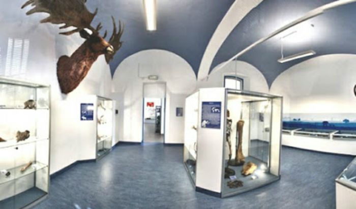 Museo di San Daniele Po