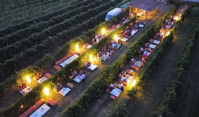 CANTINE CALEFFI APERTITIVO IN VIGNA