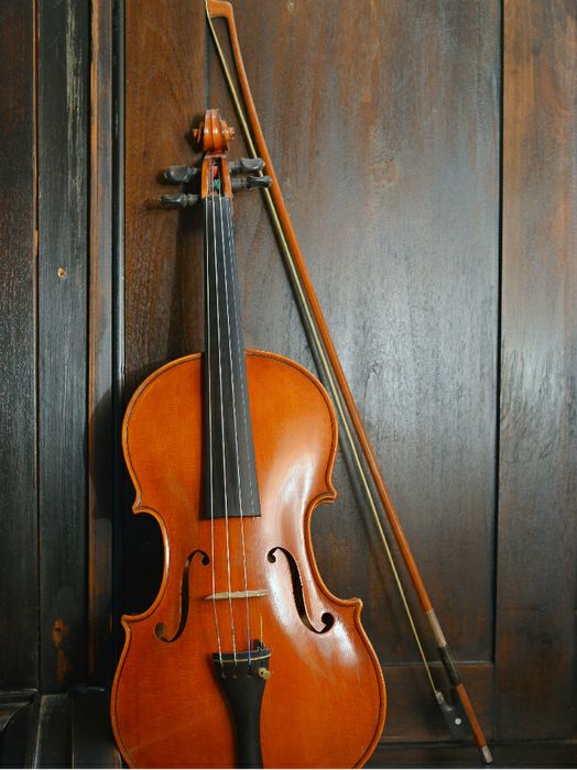 Violino Sgarabotto per d'Annunzio (Vittoriale)