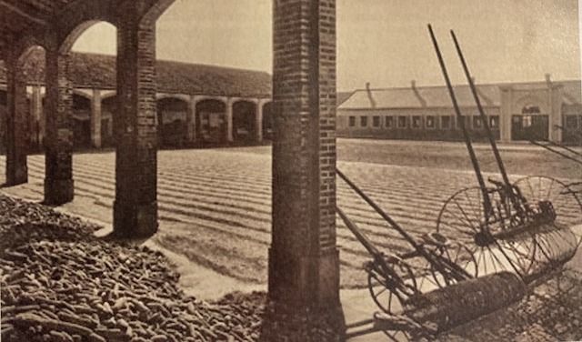 Azienda-Agricola-Casale-1935
