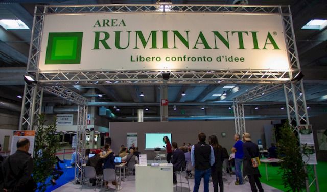 Cremona-Area-Ruminantia