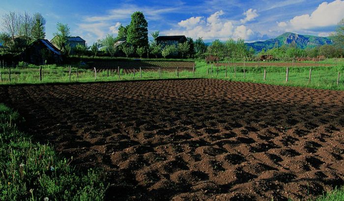 Campo Villarocca