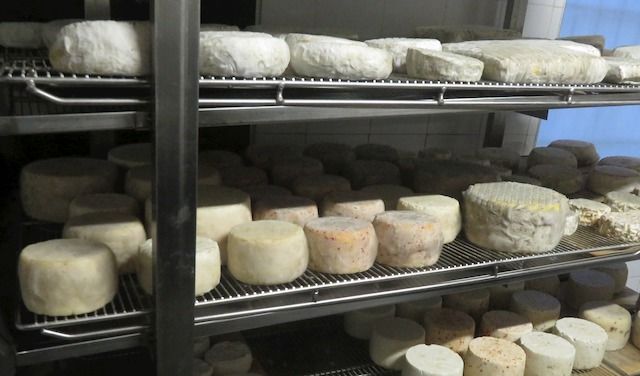 Società agricola ?Caprino di Soncino? - formaggi 