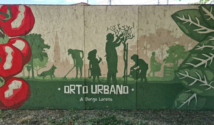 Orto Urbano a Borgo Loreto