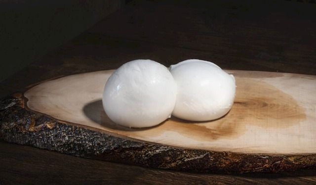 Mozzarella latte bufala CAFFI