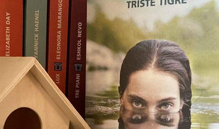 Un dettaglio della copertina