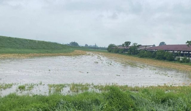MALTEMPO CAMPI ALLAGATI