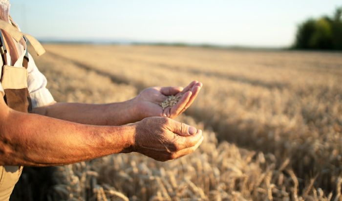 Agricoltura