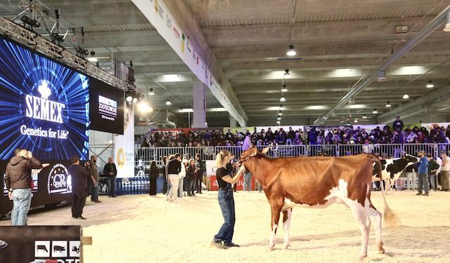 FIERE ZOOTECNICHE 2024 - INAUGURAZIONE
