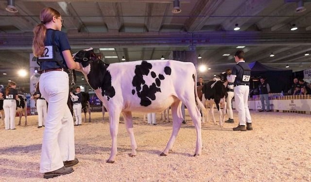 NEXT GENERATION

FIERE ZOOTECNICHE INTERNAZIONALI 2024