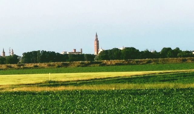 Skyline di Cremona dal parco del Po