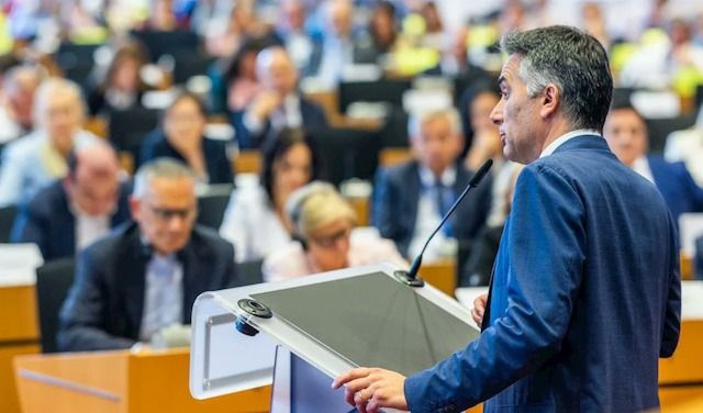 MASSIMILIANO SALINI vice presidente del parlamento europeo 